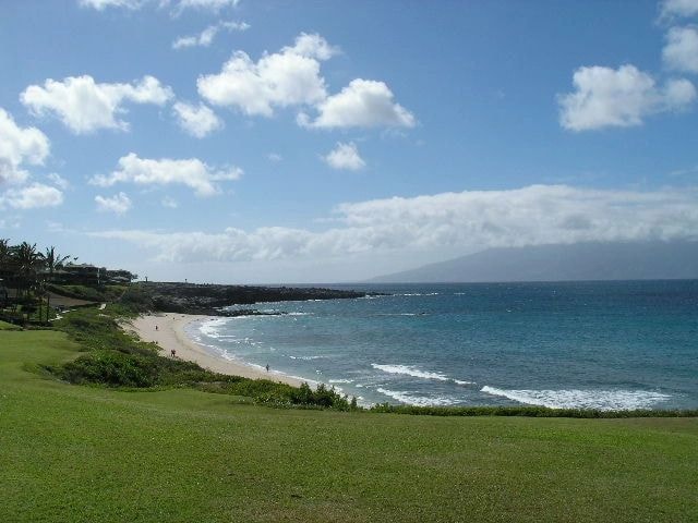 Scenic Maui beach coastal landscape