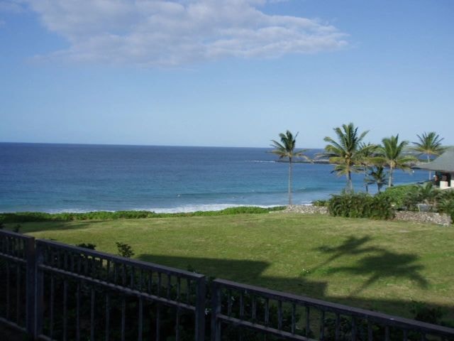 Maui tropical coastline